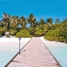 vakantie Malediven D-reizen