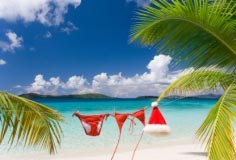 Einde jaar onder de palmbomen?